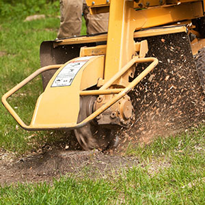 P & H Tree Service and Landscaping LLC